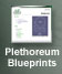 Plethoreum Blueprints